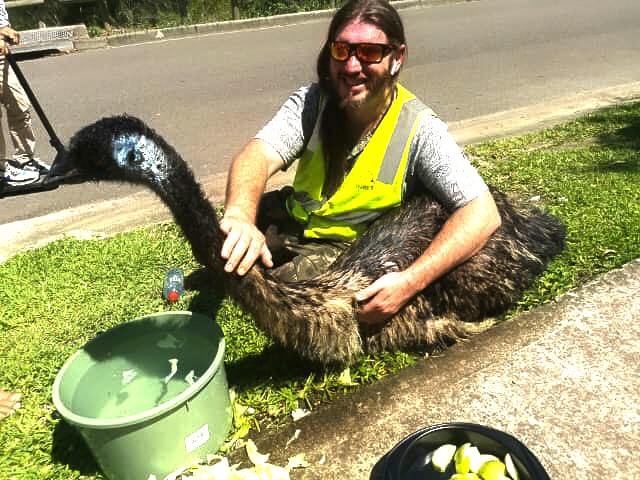 This is an image of Luke Williams keeping the emu cool.